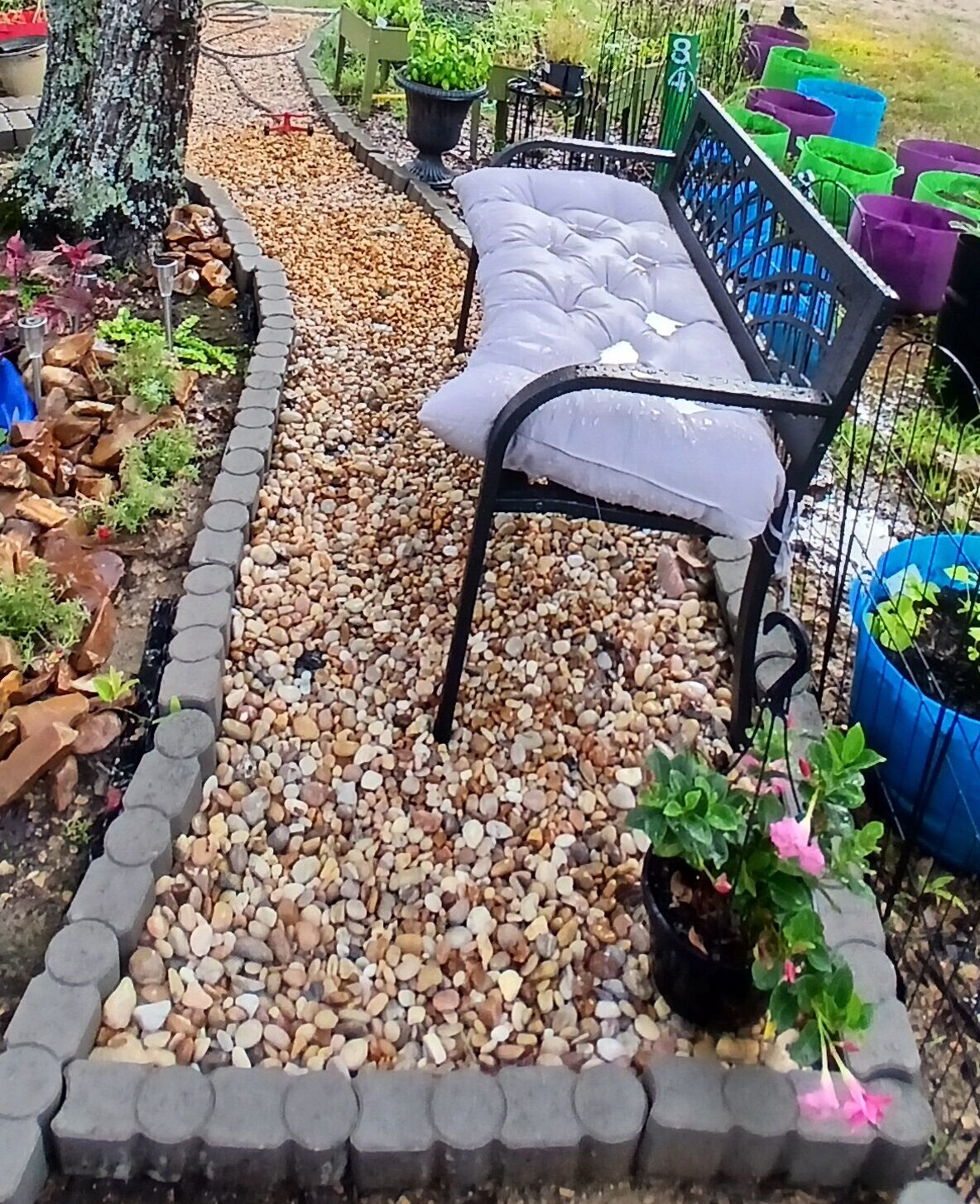 Walkway of river pebbles and clearance bricks leading to a bench by the frog pond.