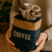 Mushrooms sprouting from recycled coffee grounds